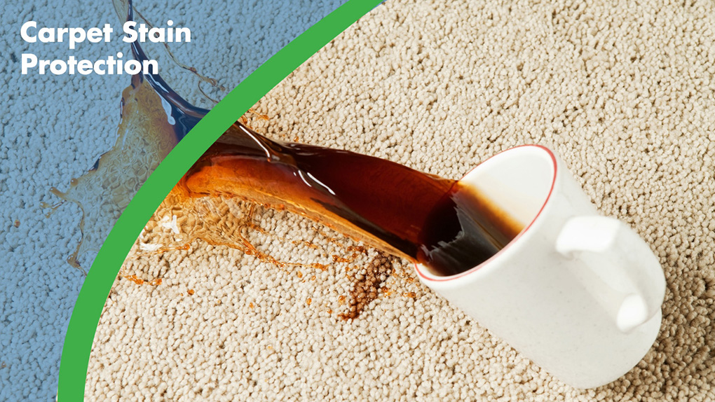 carpet stain protection | Carpet Cleaners