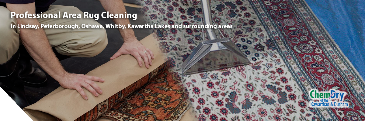 kawarthas area rug cleaning | Carpet Cleaners