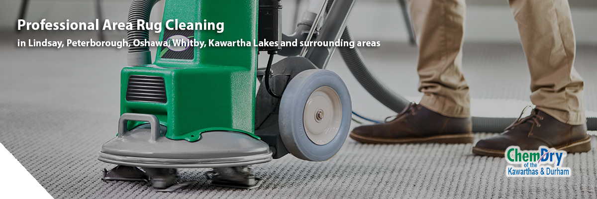 kawarthas carpet cleaning services2 | Carpet Cleaners
