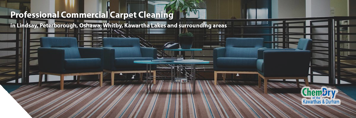 kawarthas commercial carpet cleaning | Carpet Cleaners