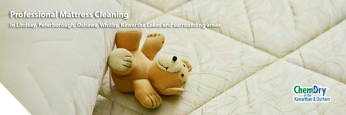 kawarthas mattress cleaning | Carpet Cleaners
