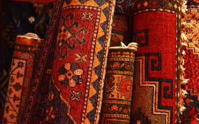 6 Carpet Challenges Kawartha Homeowners Face When You Have a Pet