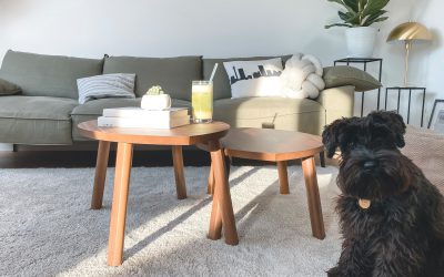 Do Carpet Cleaning Companies Charge for Furniture Moving?