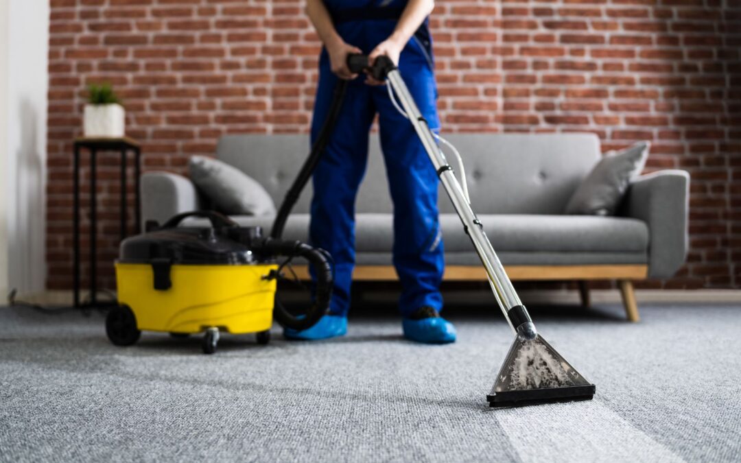 8 Essential Reasons to Hire a Professional Carpet Cleaner for Your Home