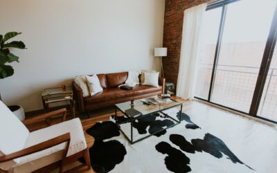 A Comprehensive Guide for Carpet, Area Rug, and Upholstery Care at Home