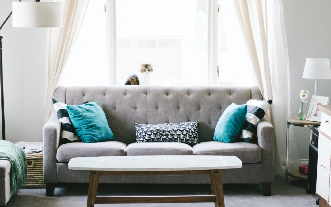 Importance of Regular Upholstery Cleaning for a Healthy Home