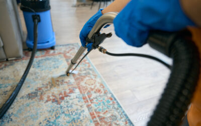 The Science Behind Chem-Dry of the Kawarthas’ Water-Based Hot Carbonated Cleaning Process