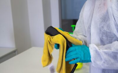 Allergy-Reducing Tips for Your Home: How Chem-Dry of the Kawarthas’s Cleaning Services Can Help