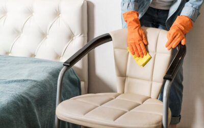 Upholstery Cleaning 101 with Chem-Dry of the Kawarthas: Essentials for Maintaining Fresh and Inviting Furniture