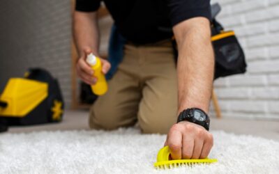The Benefits of Area Rug Cleaning Services