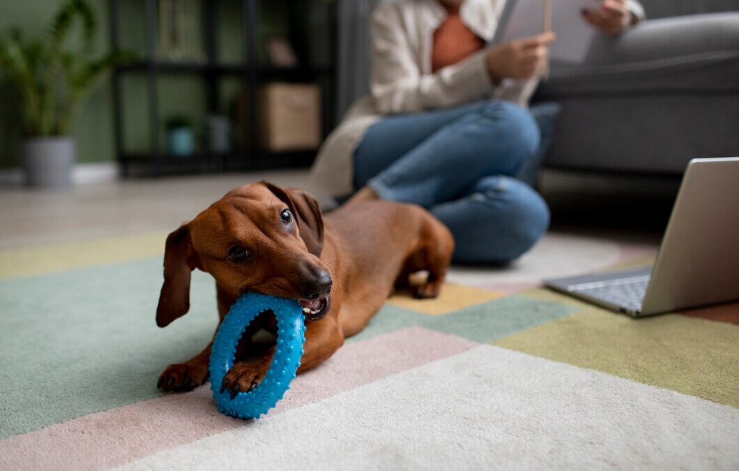 Pet-Friendly Carpet Cleaning Solutions: Keep Your Home Fresh, Clean, and Safe for Your Furry Friends