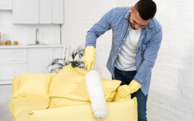 A Guide to Keeping Your Furniture Fresh and Vibrant