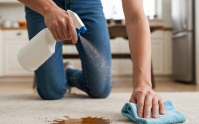 How to Remove Coffee Stains from Carpet Effectively